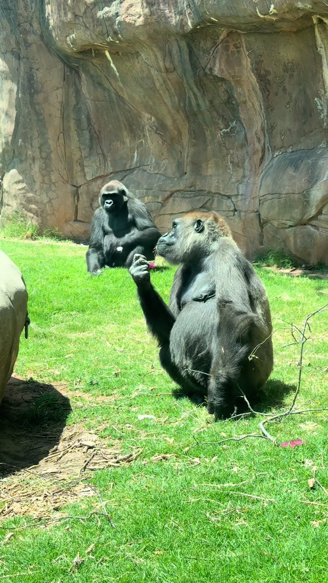 @okczoo