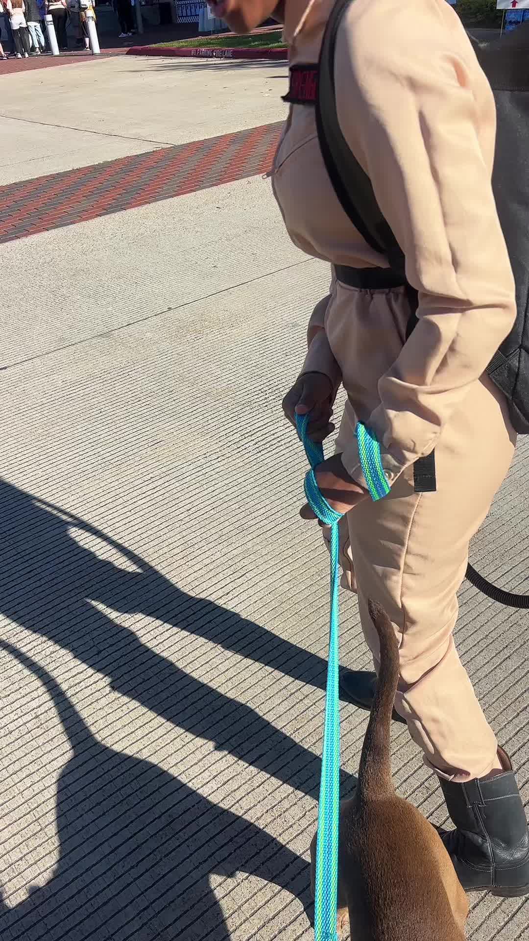 @hilla7077