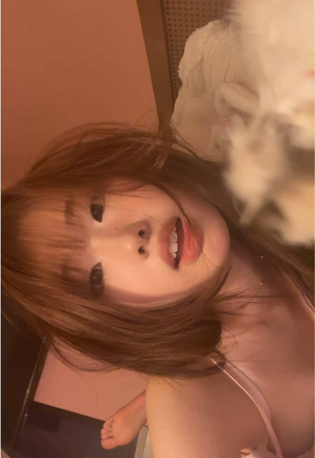 @𝒕𝒖𝒕𝒖