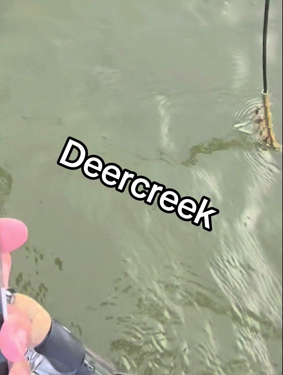 @Dave’s Lazy Baits