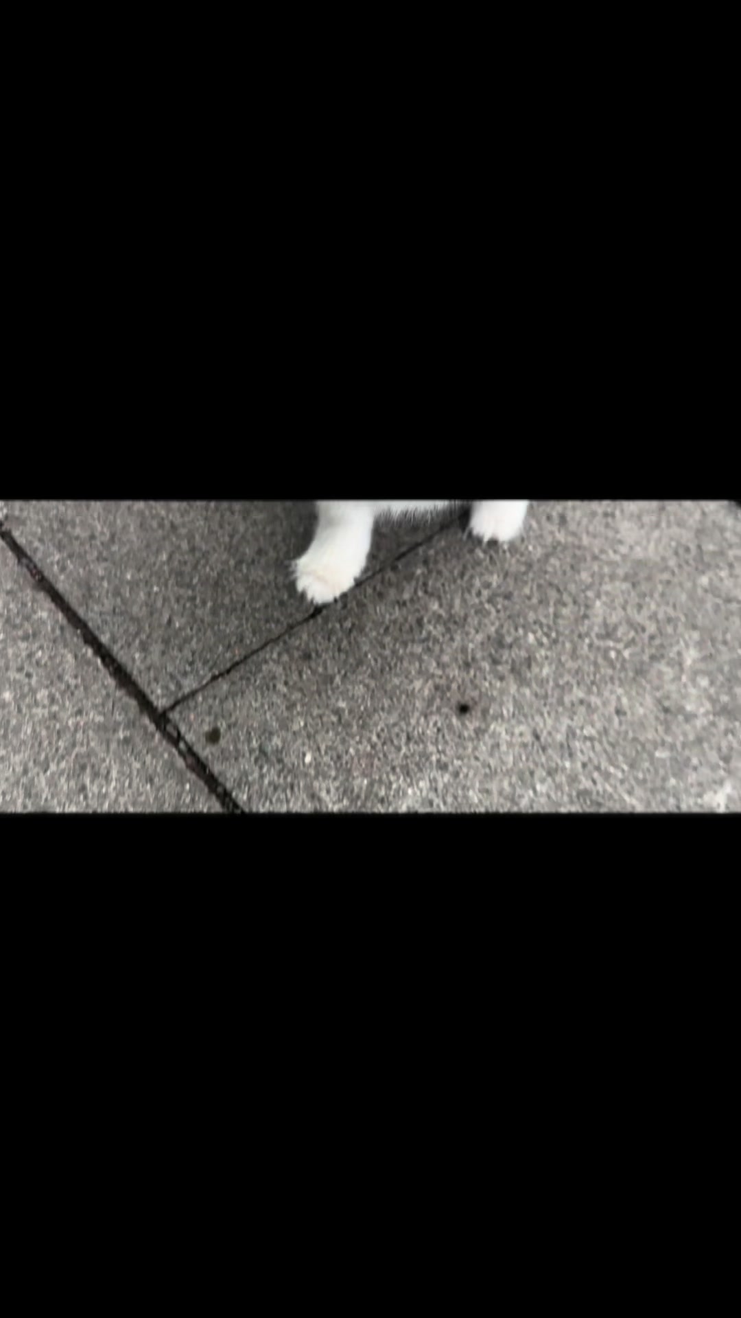 @mocxkrt