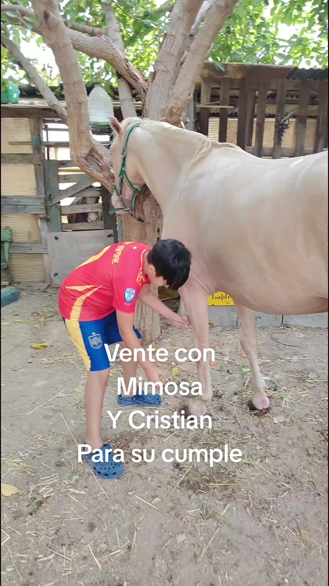 @dgz_65