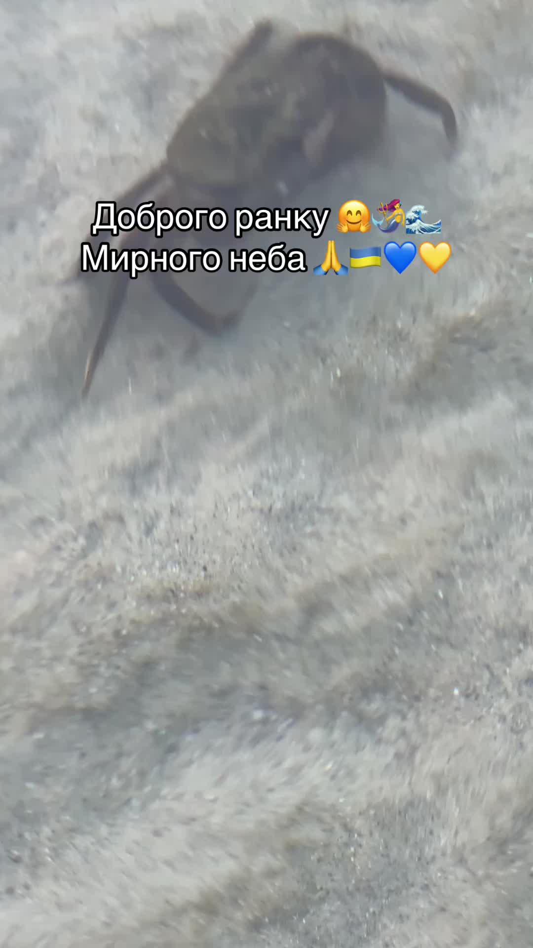 @Ksynia🧜♀️🧜♀️Odessa🧜♀️