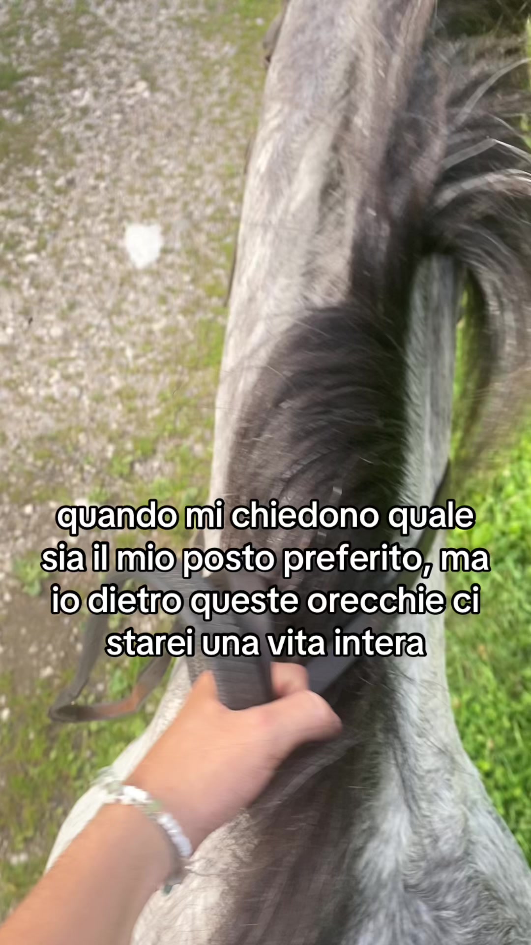 @flavietta