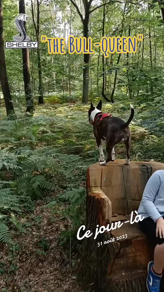 @Shelby_&_moi