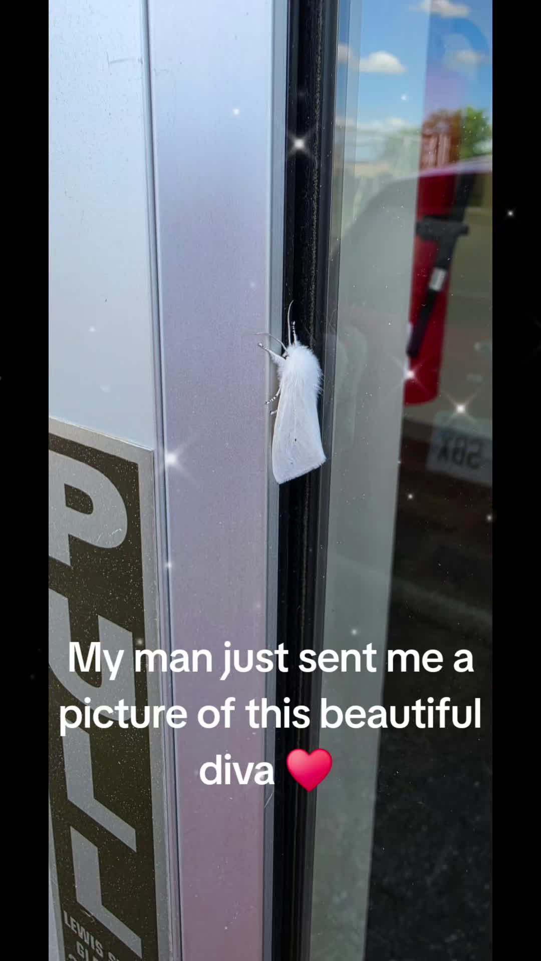 @GrandmasCelery