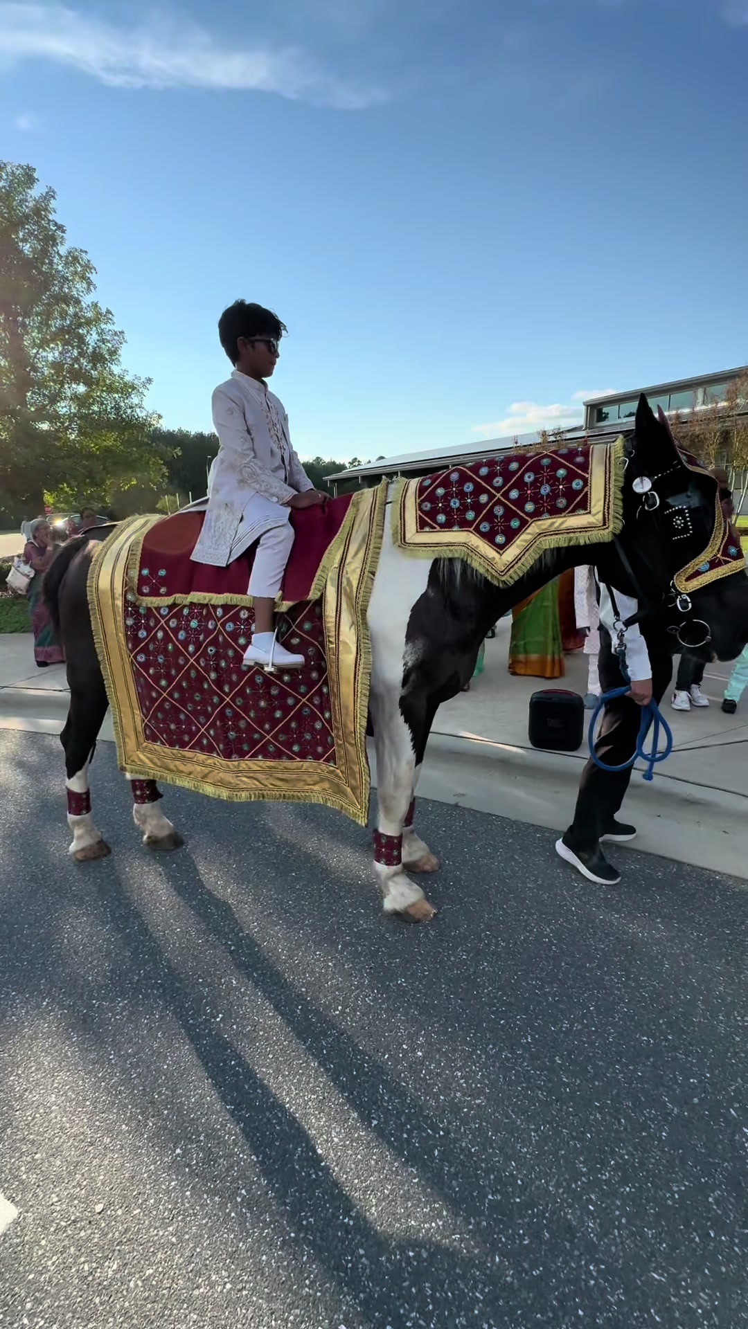 @southerncharmcarriages