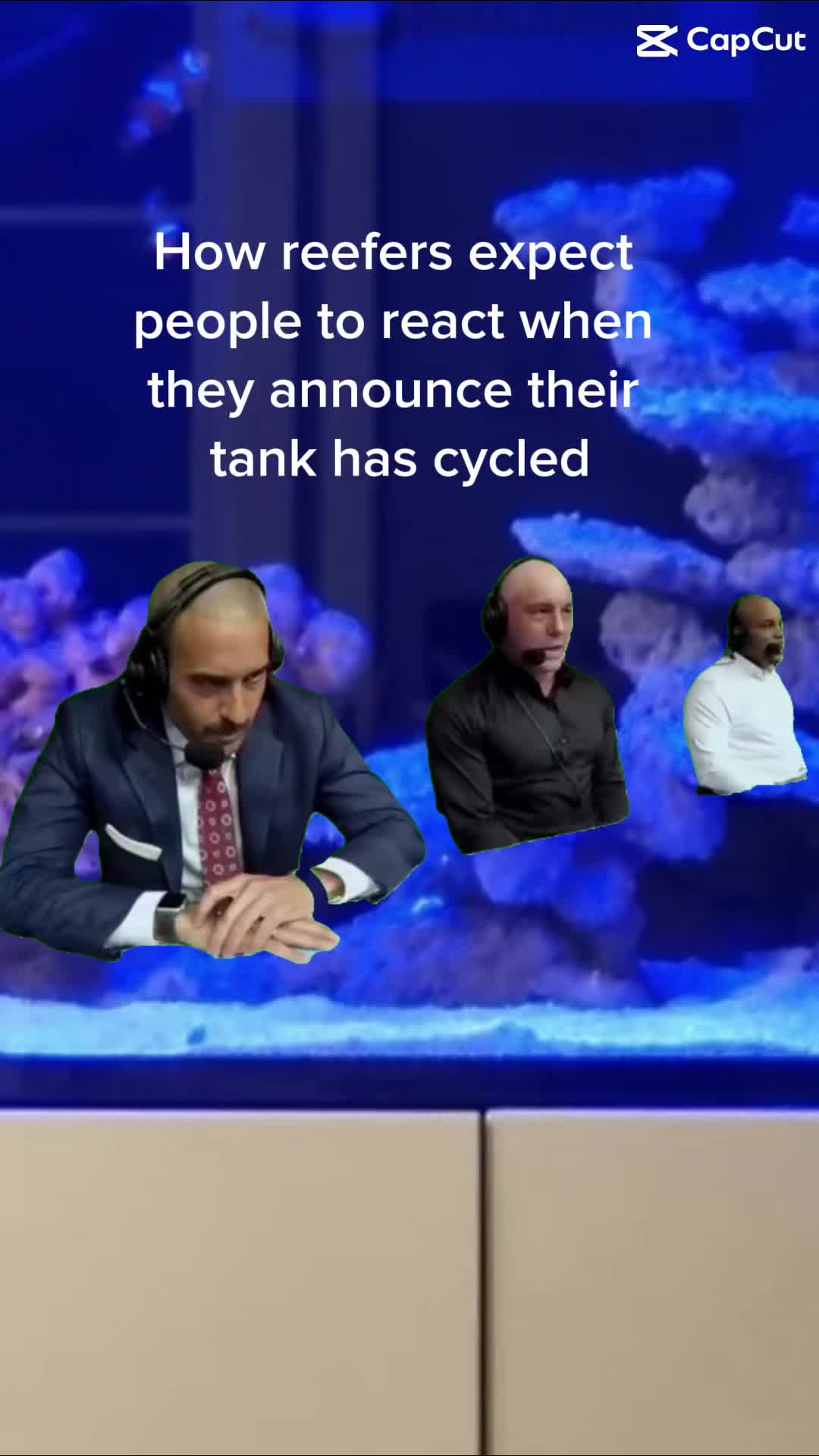 @ReefTok