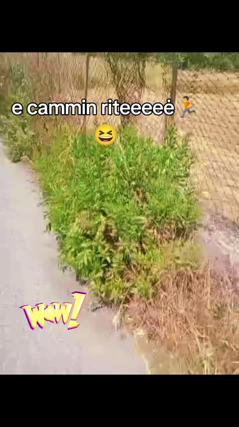 @misteriosa