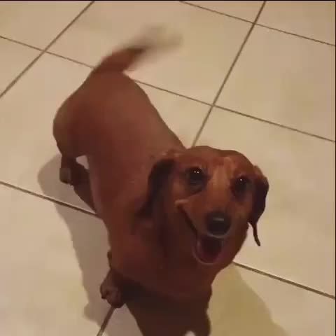 @Вдвшка🌪️