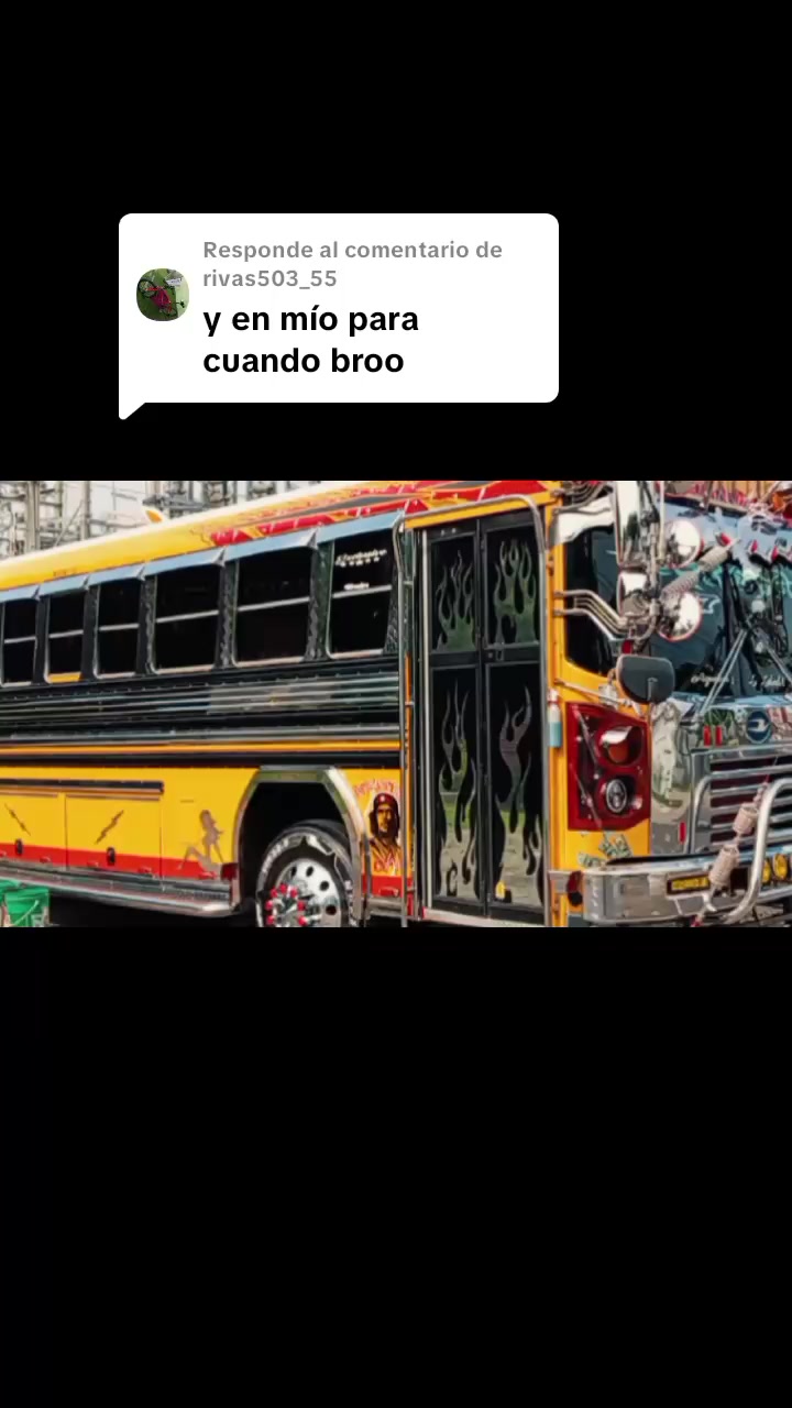 @buses elegantes 503