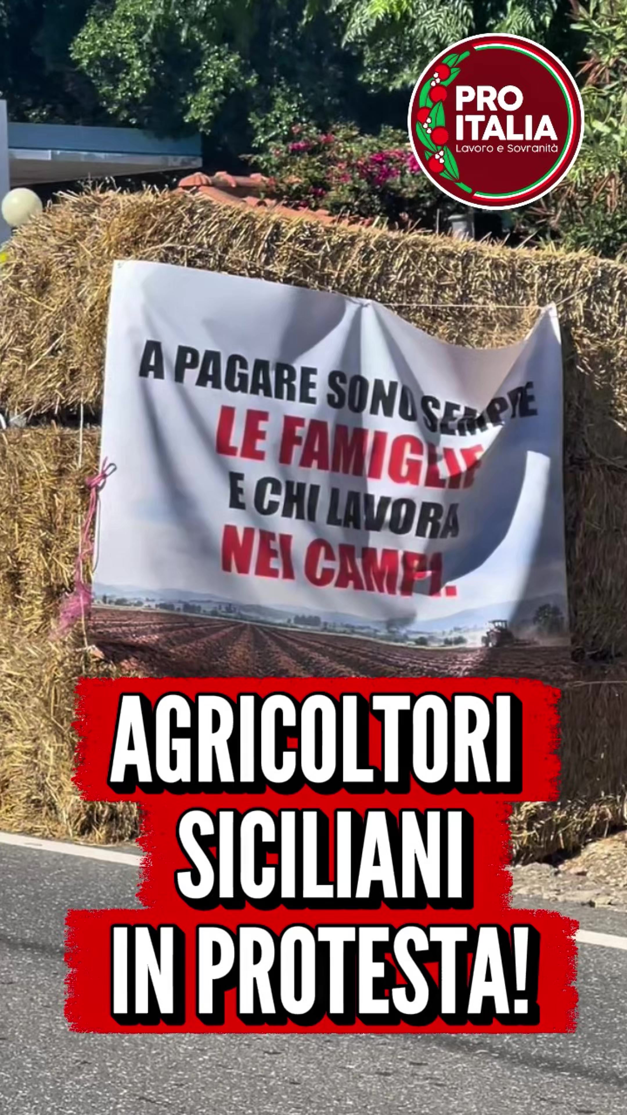 @pro.italia.catania