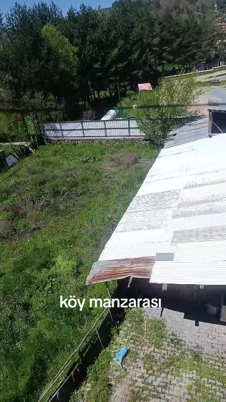 @zalimin kızı 06