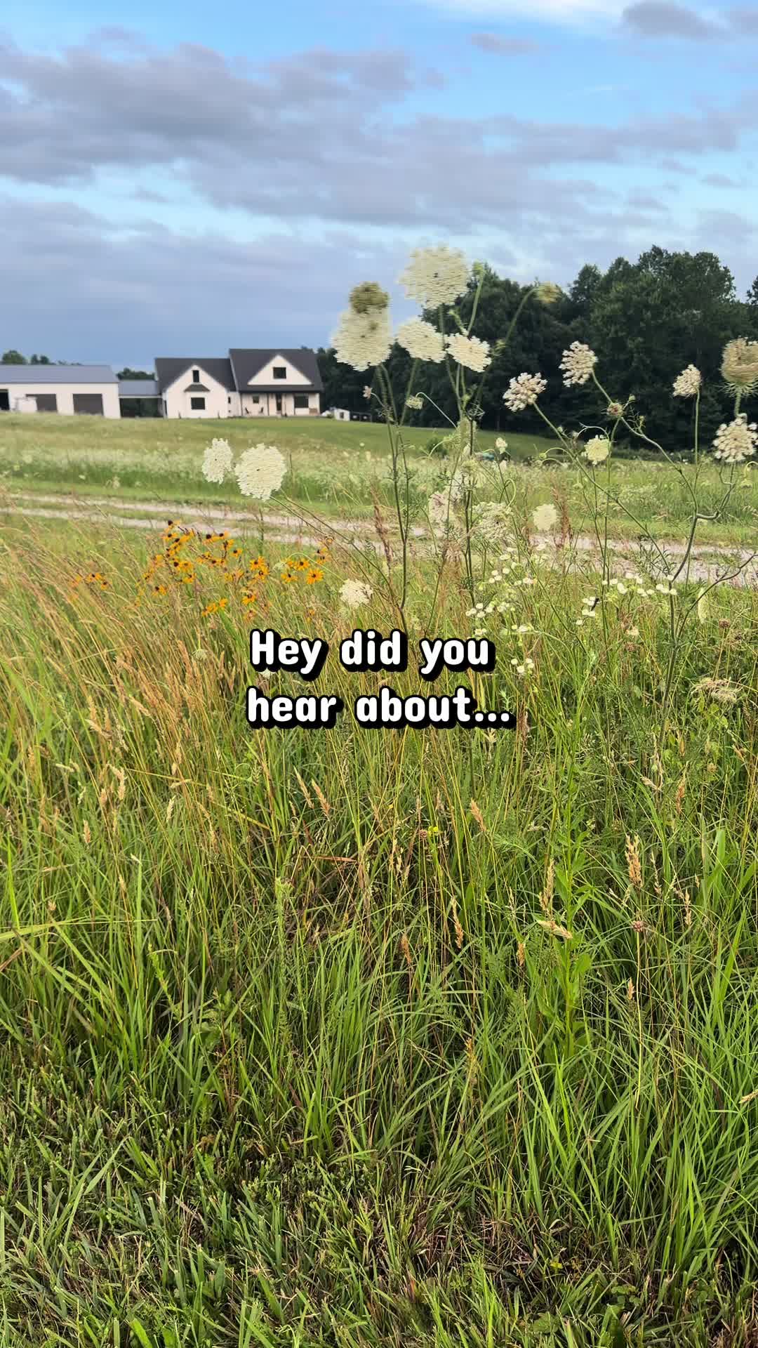 @Ally | Farm Wife