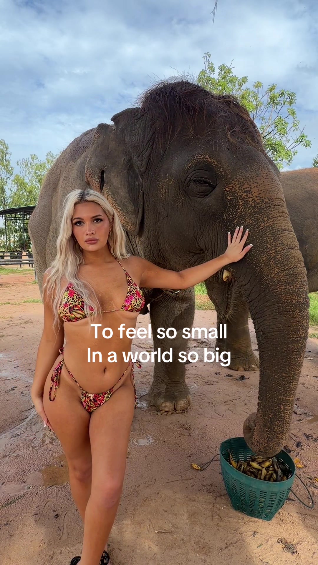 @Iceleyn