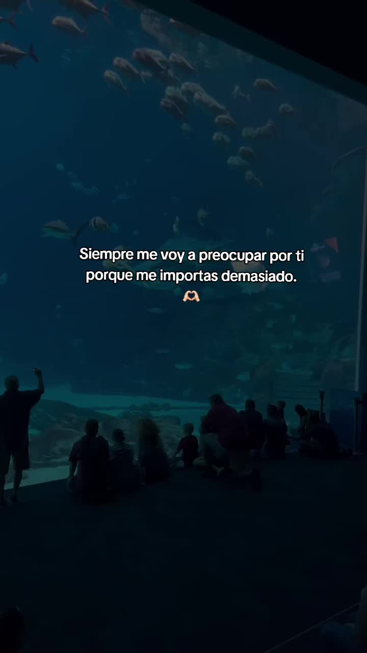@✝️🍀𝐅𝐒 𝐎𝐒𝐂𝐀𝐑🐻✅
