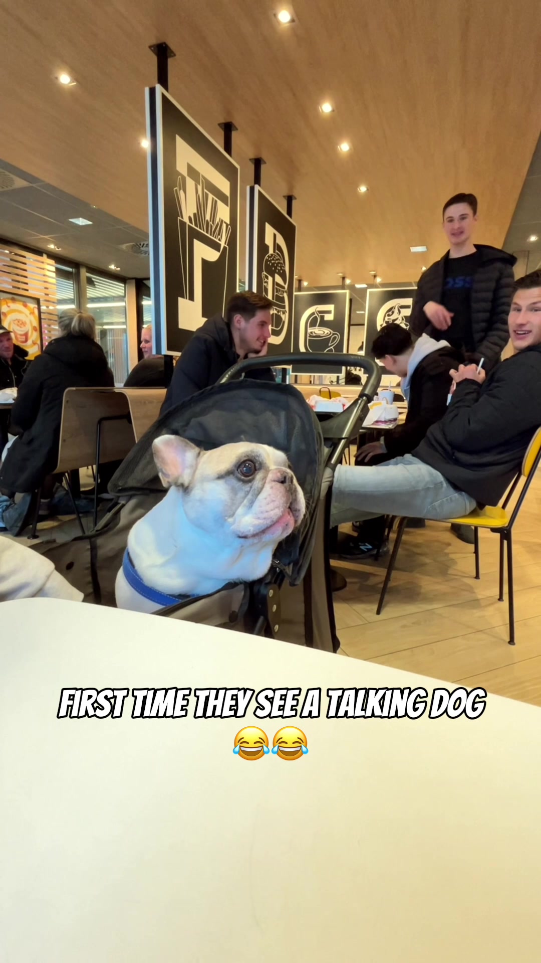 @Sunny 🐶
