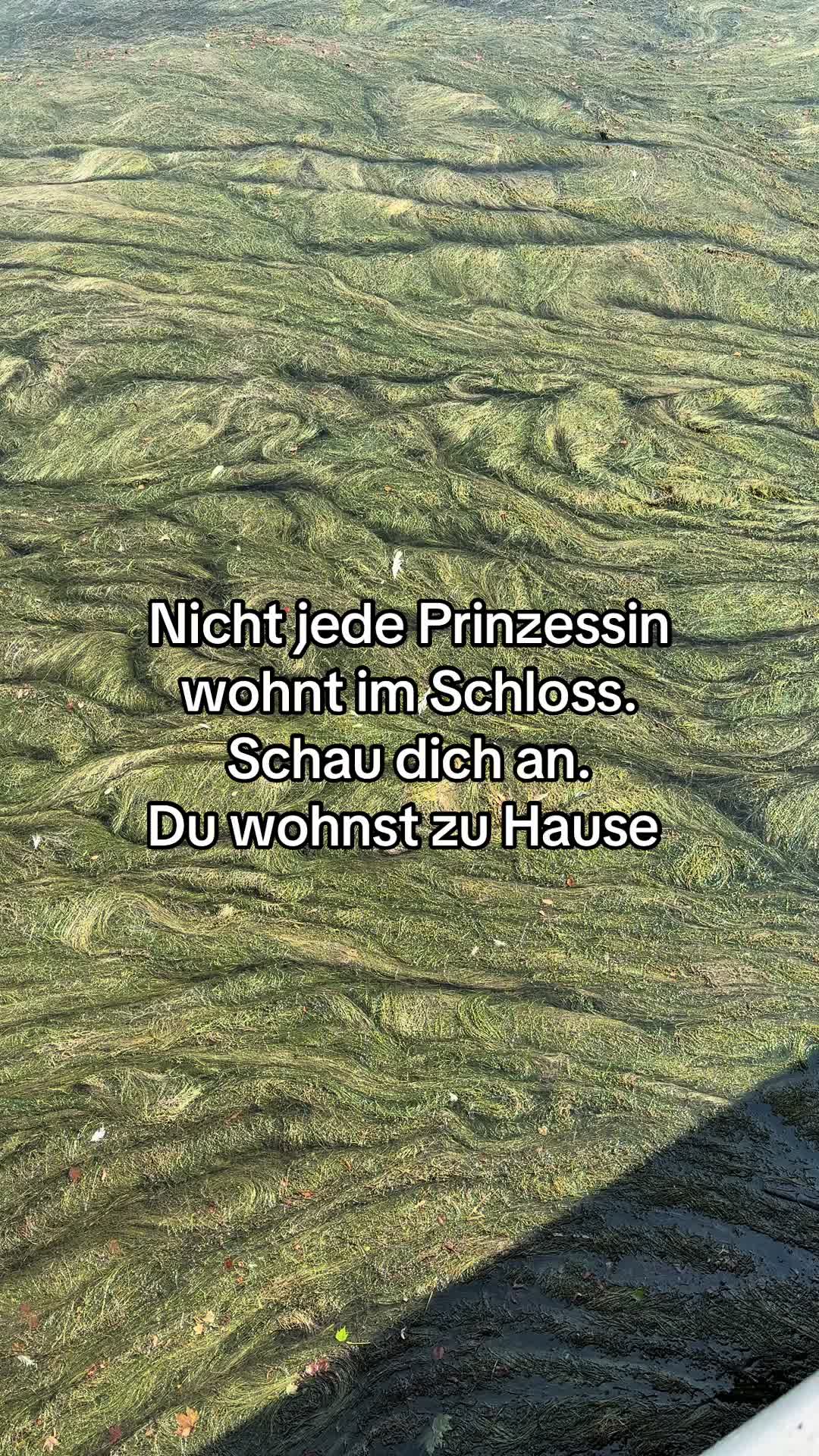 @Lars Laux