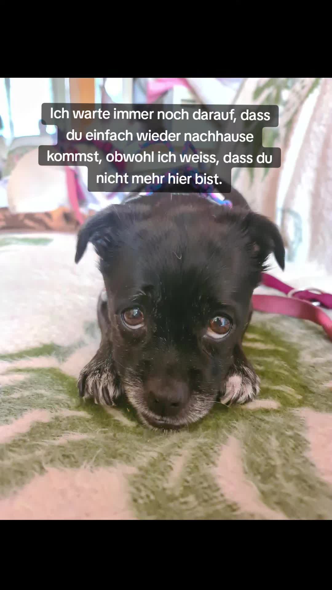 @Lost_Hope