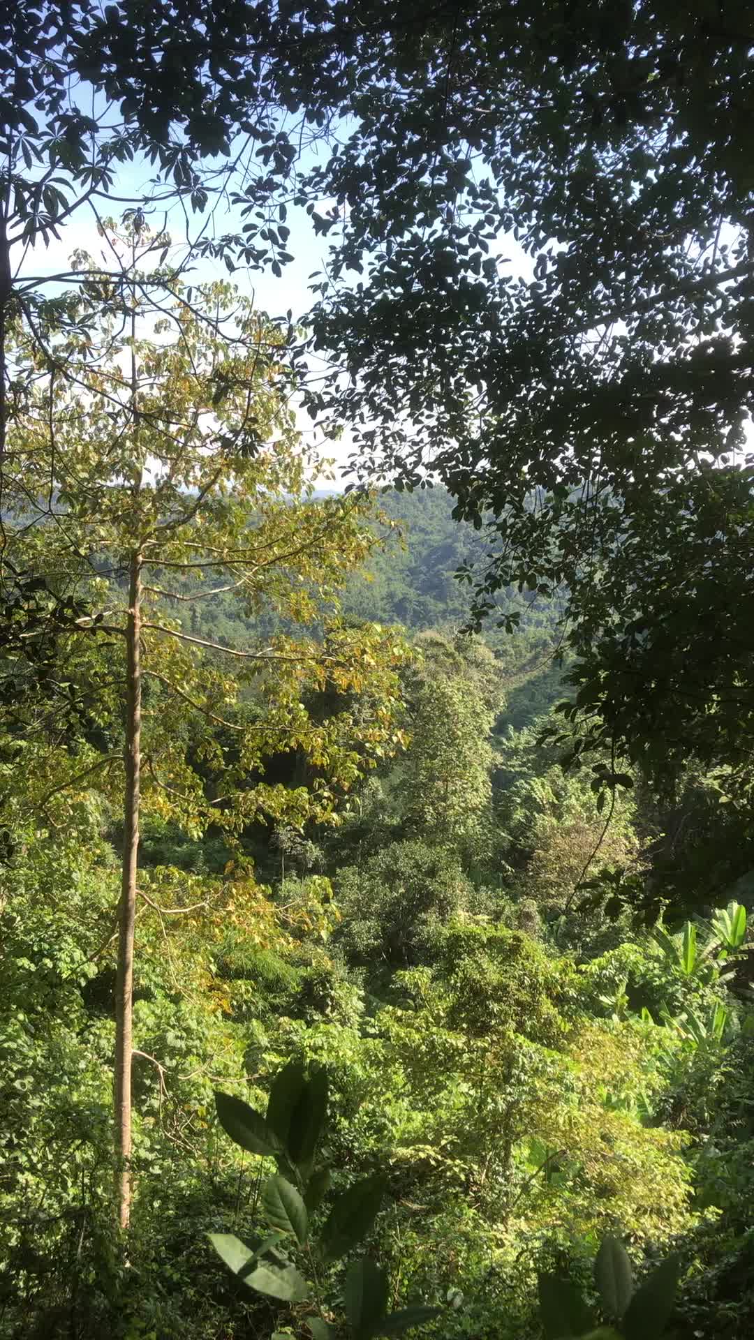 @Kom Manikwan😇❤️