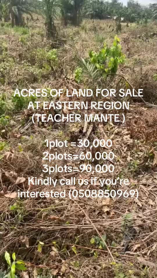 @Teacher Mante lands for sale