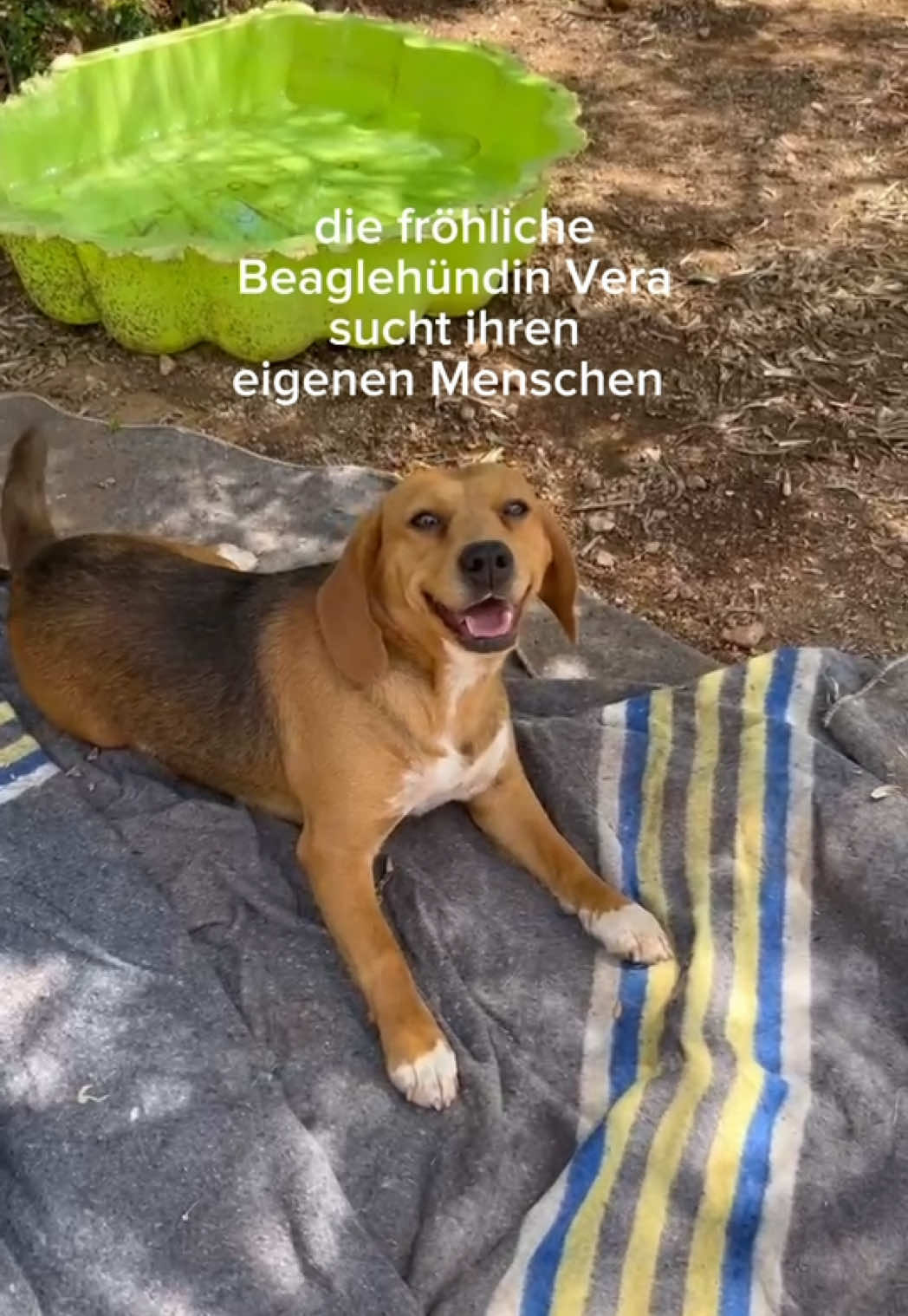 @arcadogsandayleen