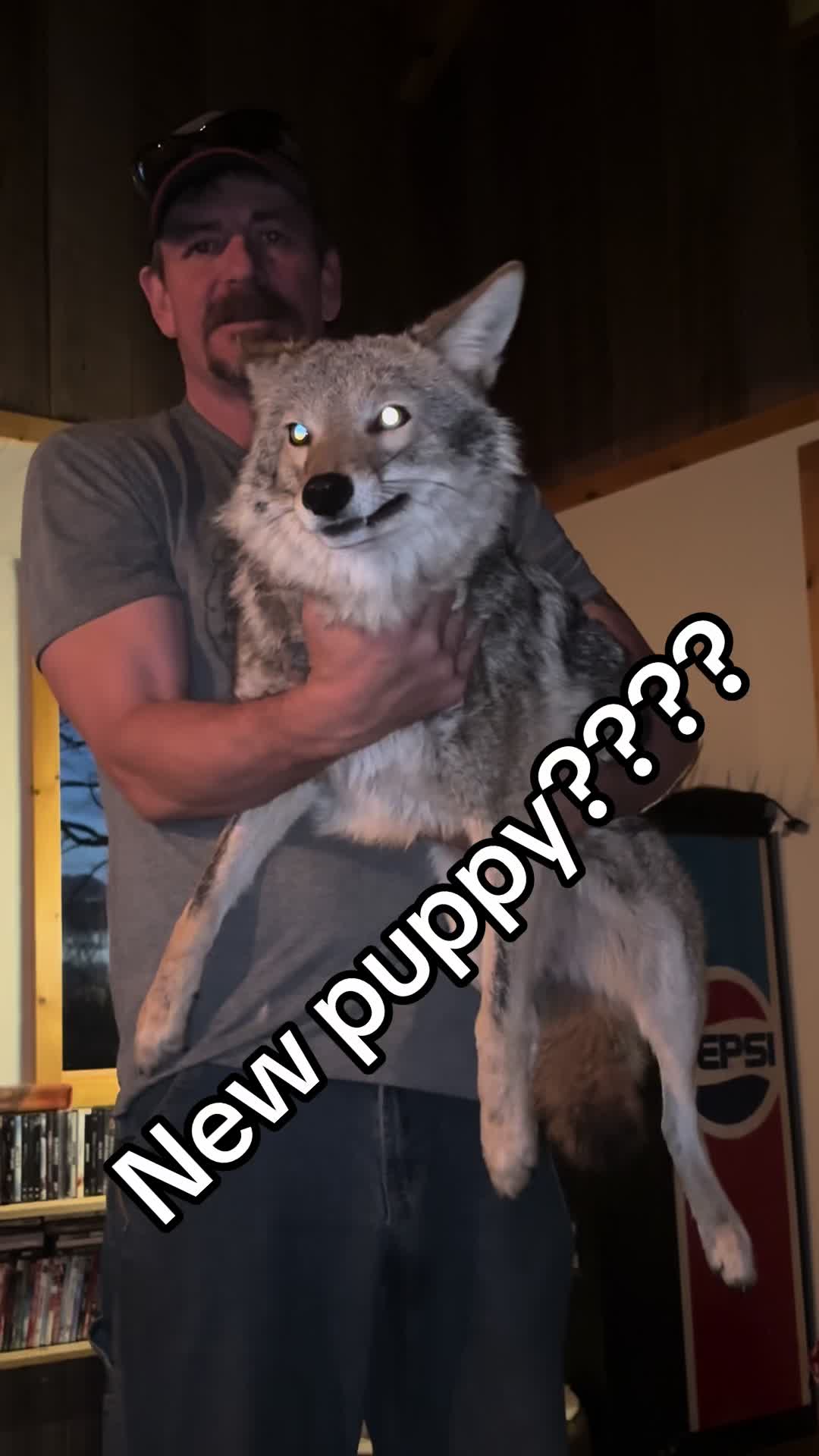@ittybittyfarm1