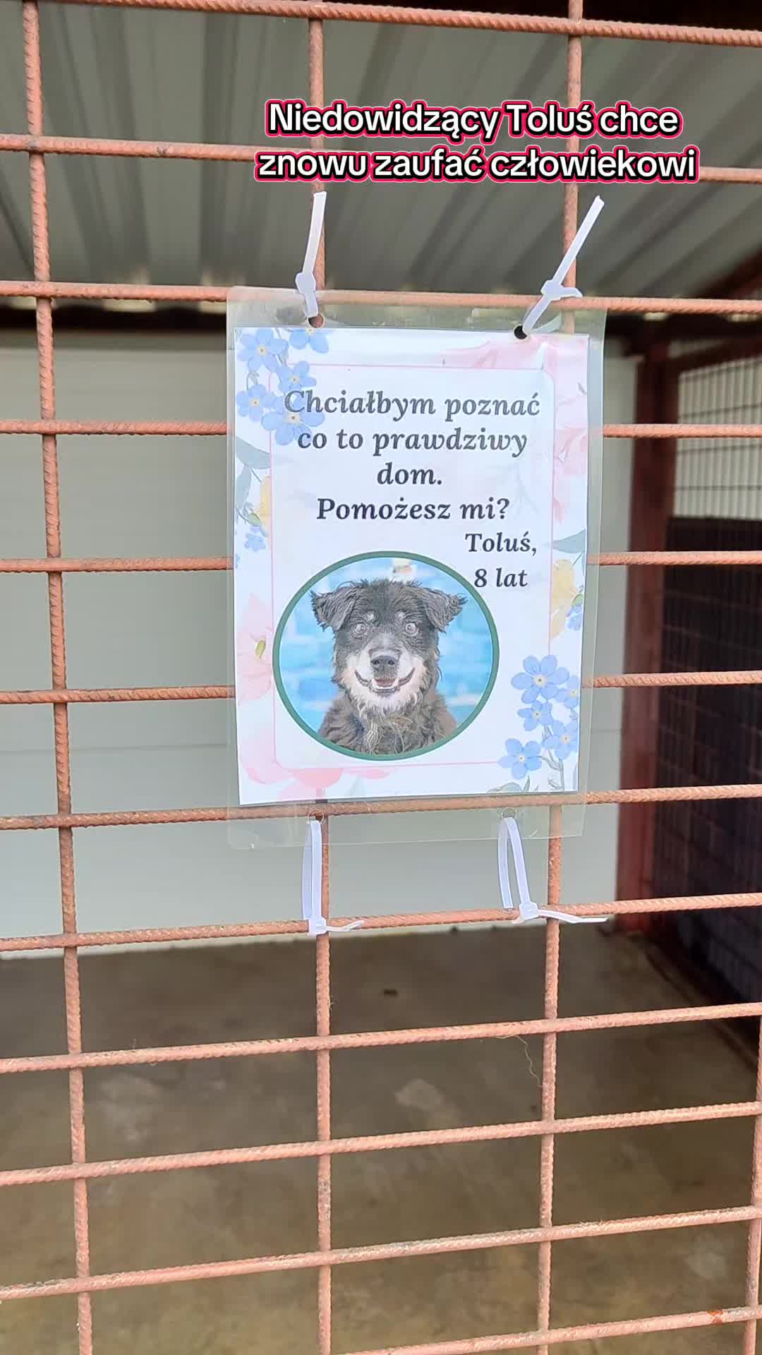 @Bezdomniaki_ze_śląska