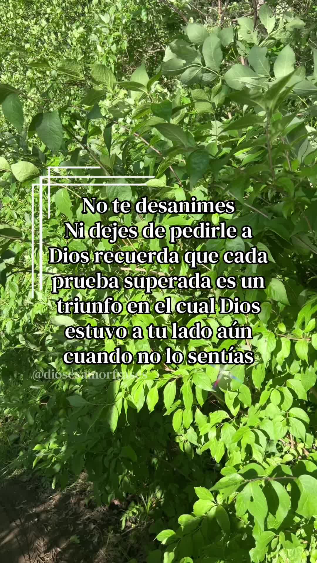 @Karen❤️&zwj;🩹