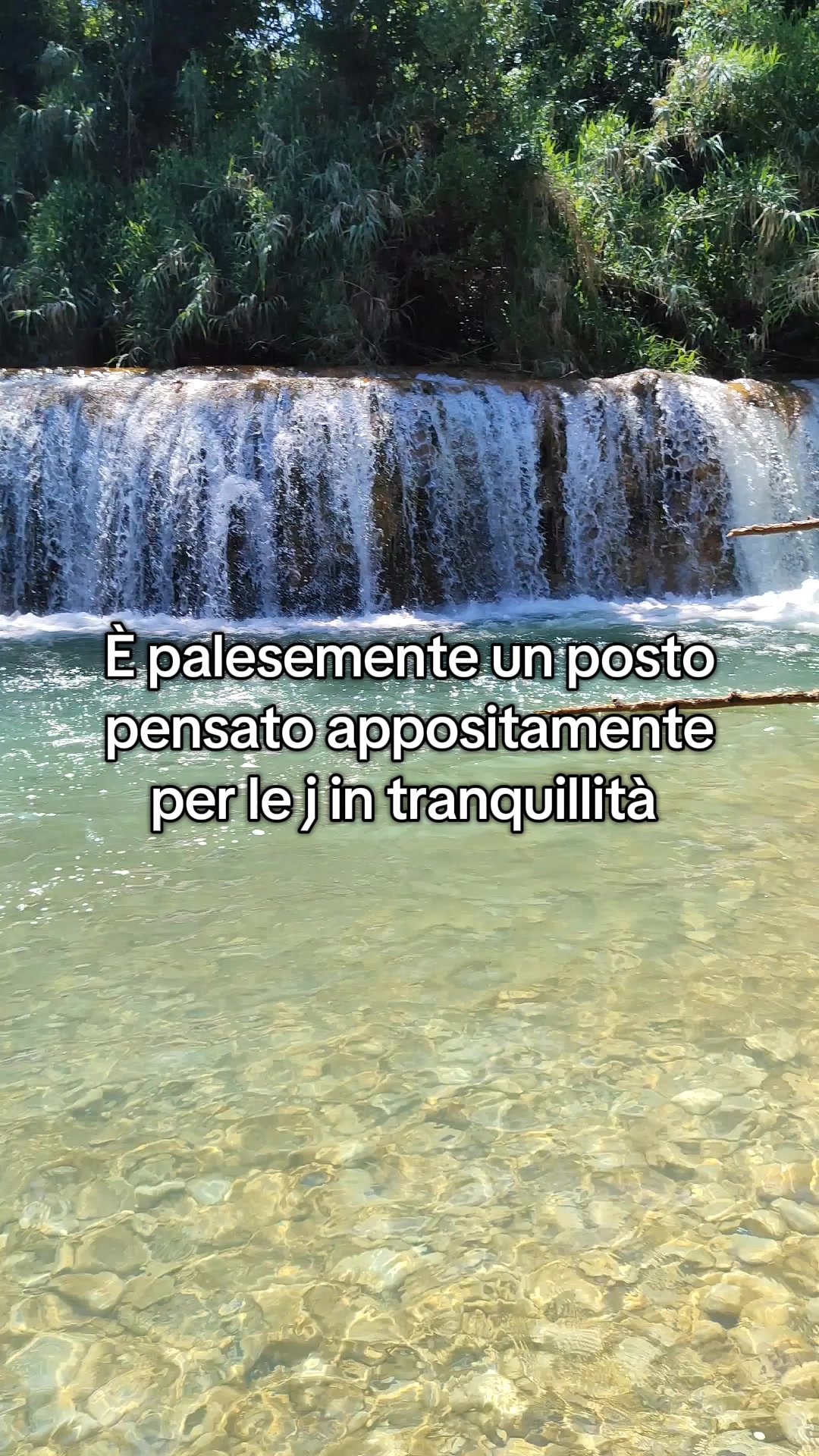 @Tameverse