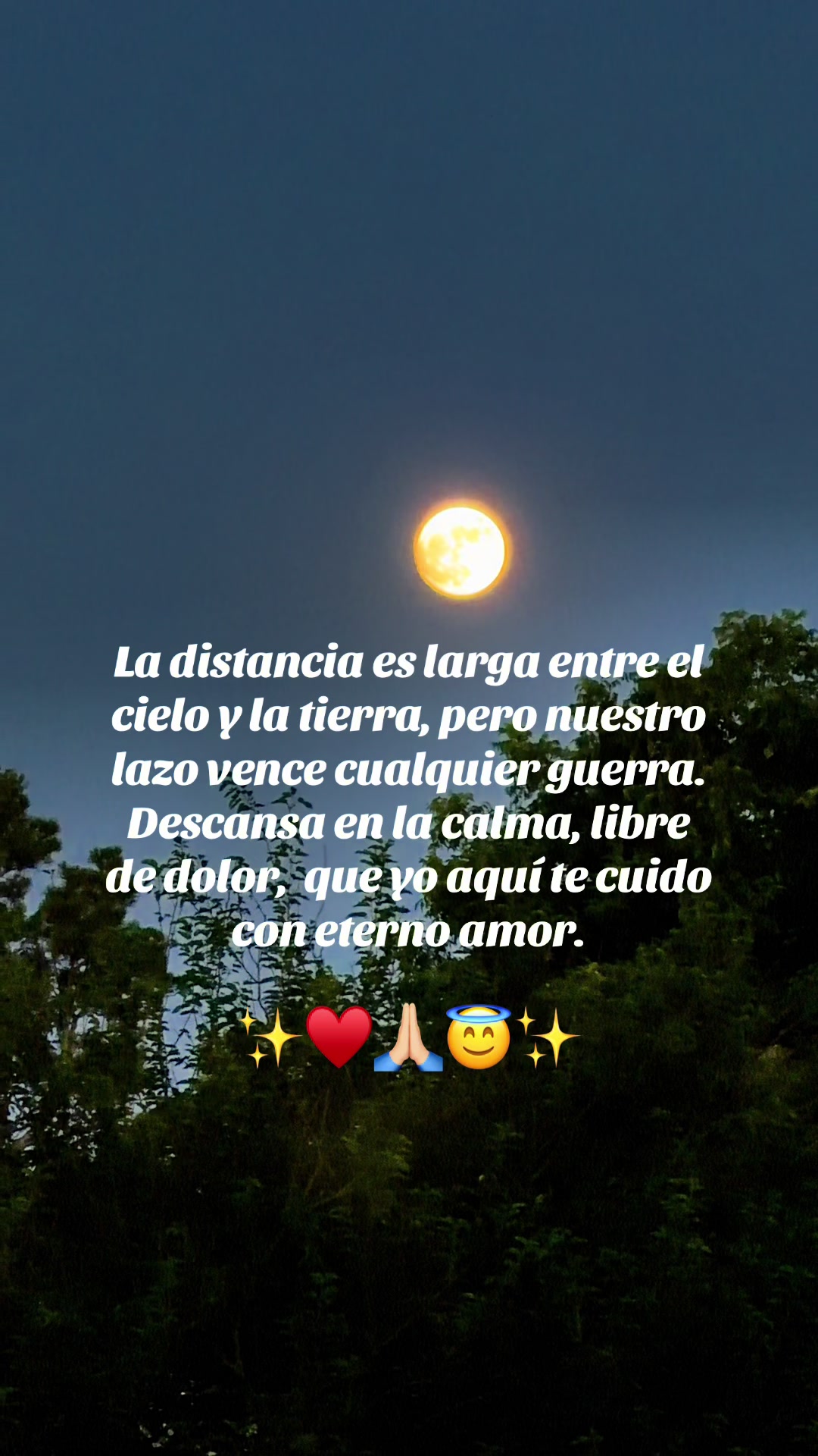 @👑🌸Reyna_Clau22🌸👑