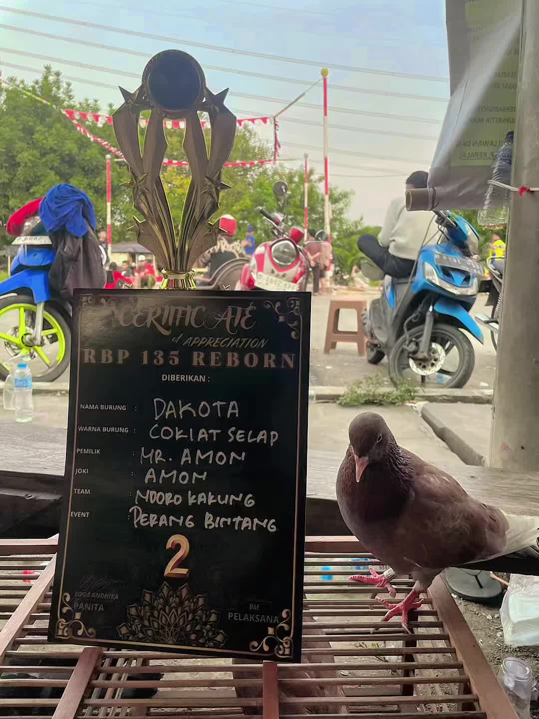 @Z V A 36 Merpati Reborn 🕊️🕊️