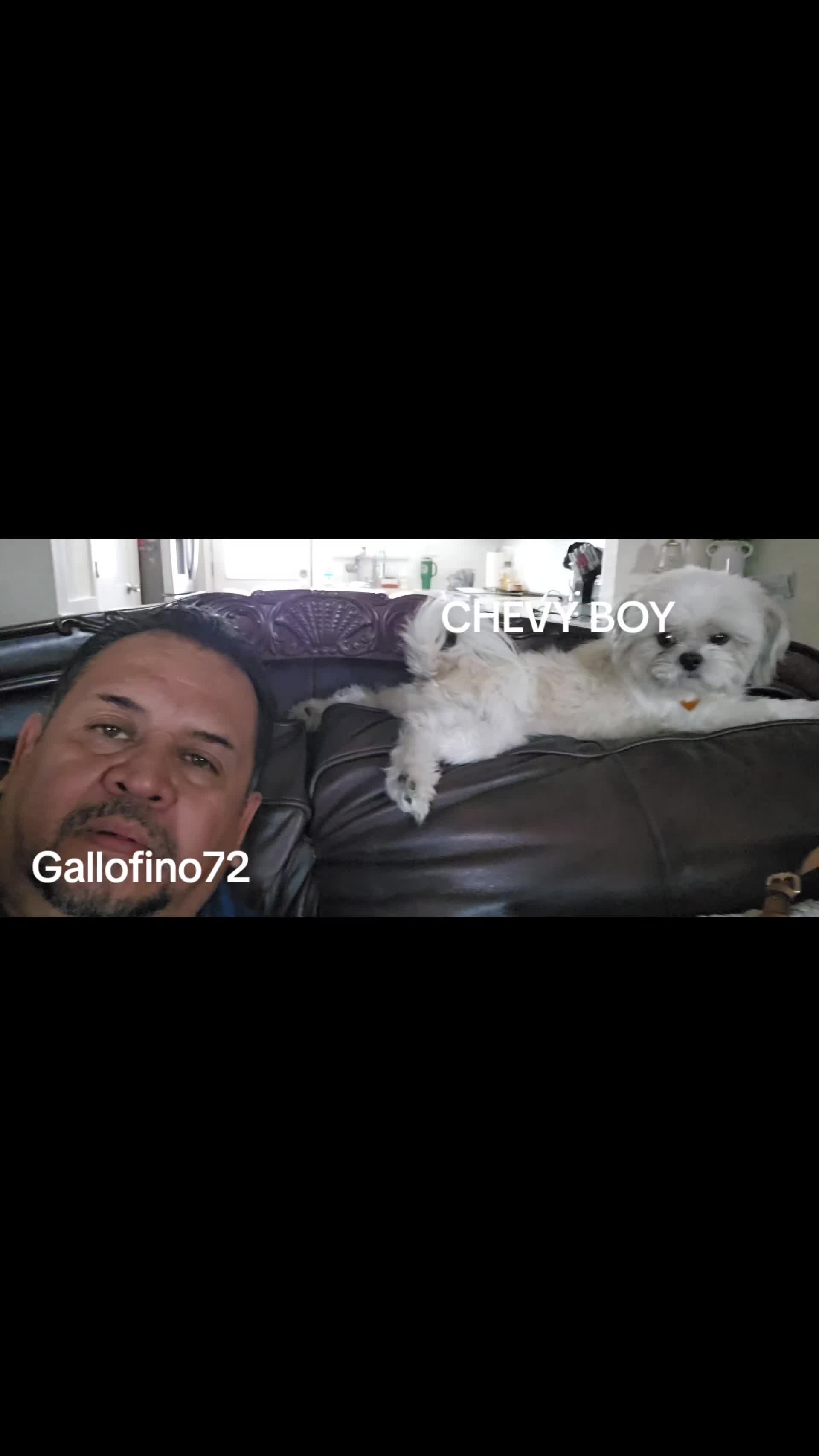 @ElGalloFino