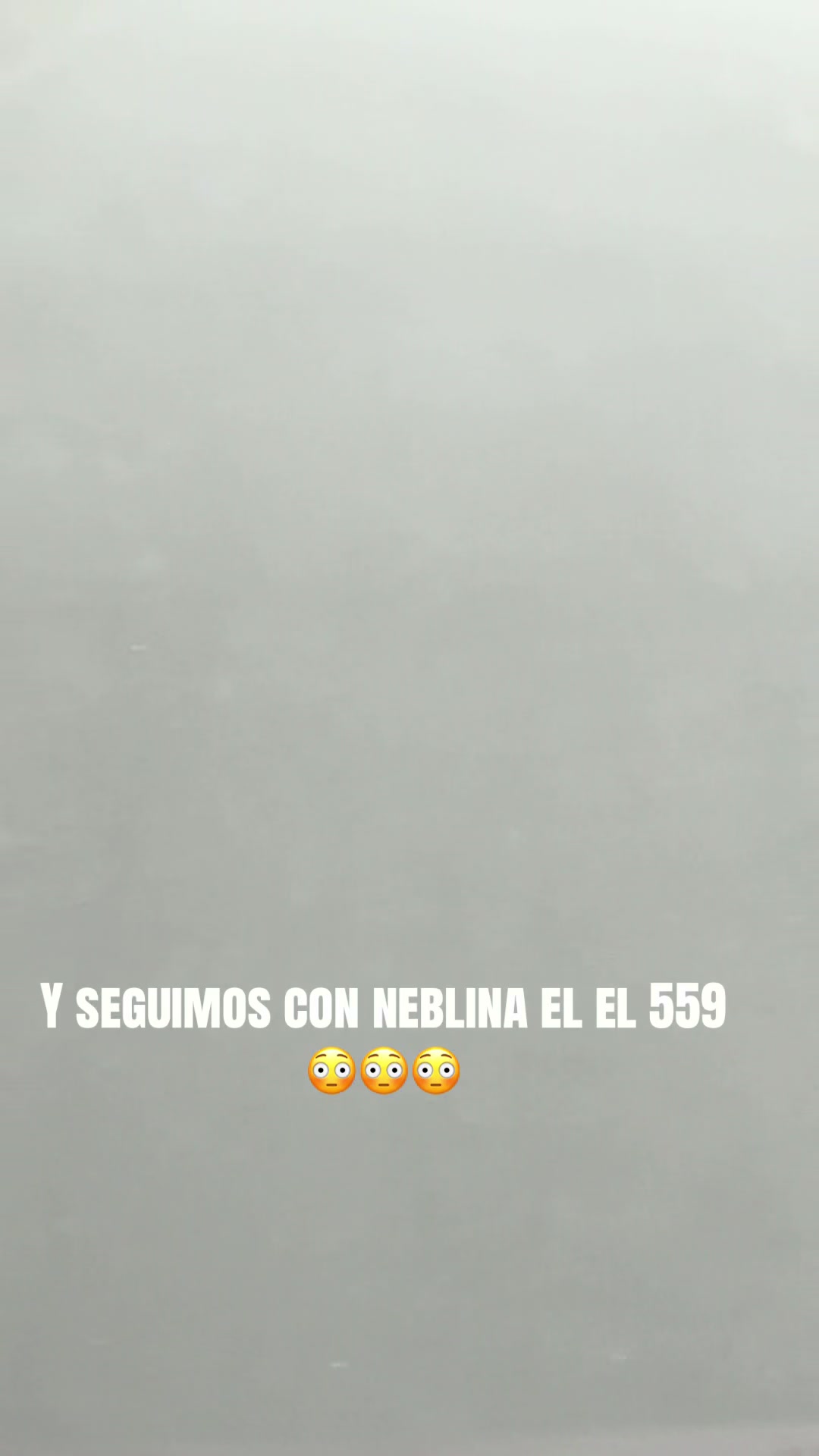 @maria s rodriguez