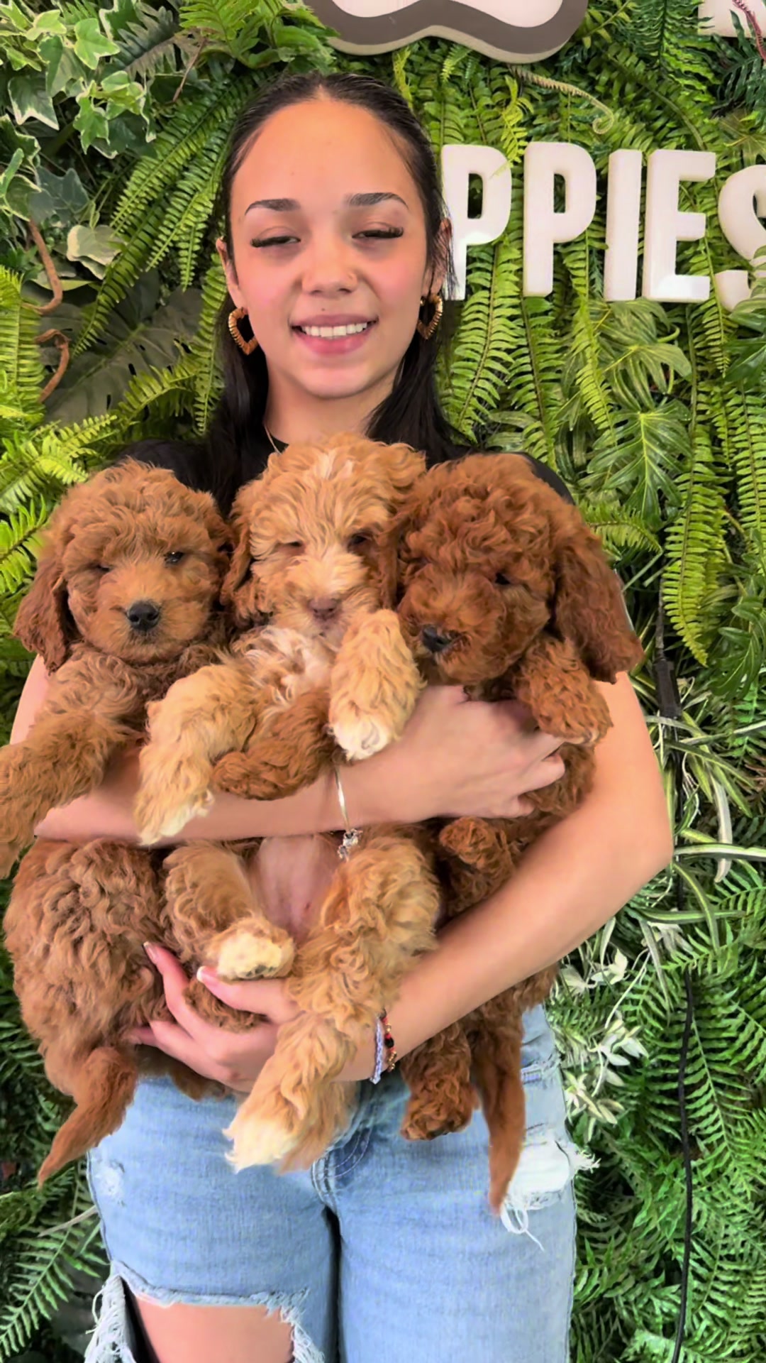 @FurbabyPuppies