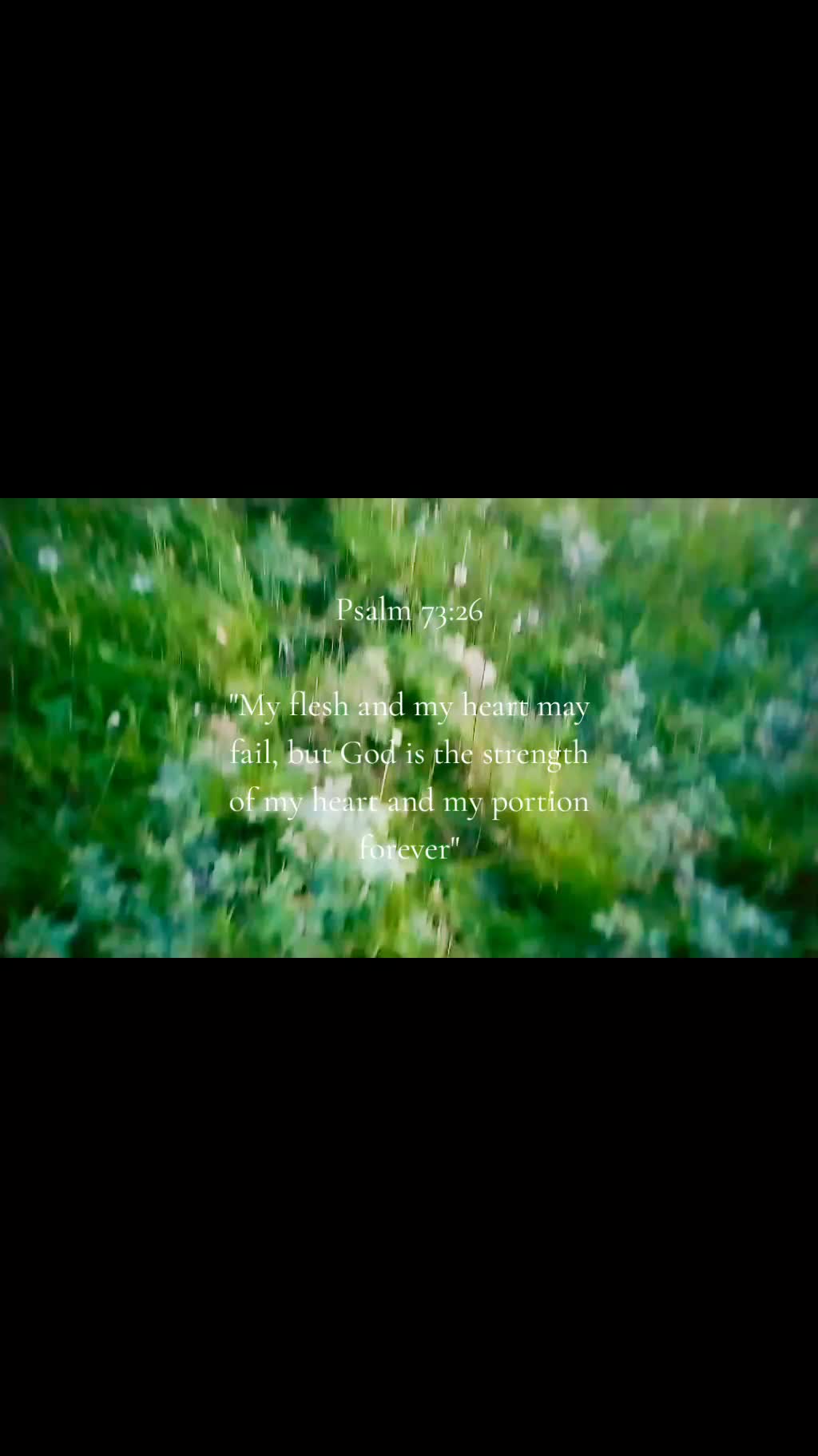@xzw._.q✨✝️