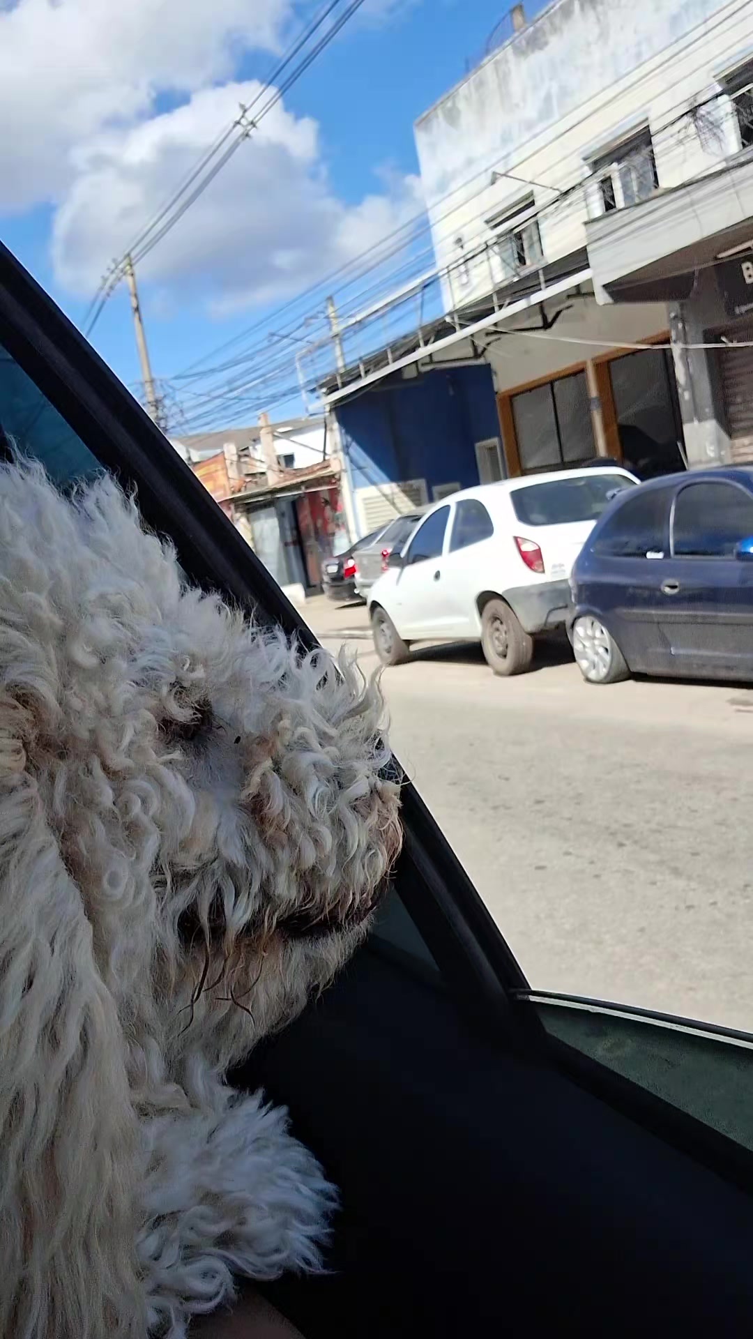 @Pitanga