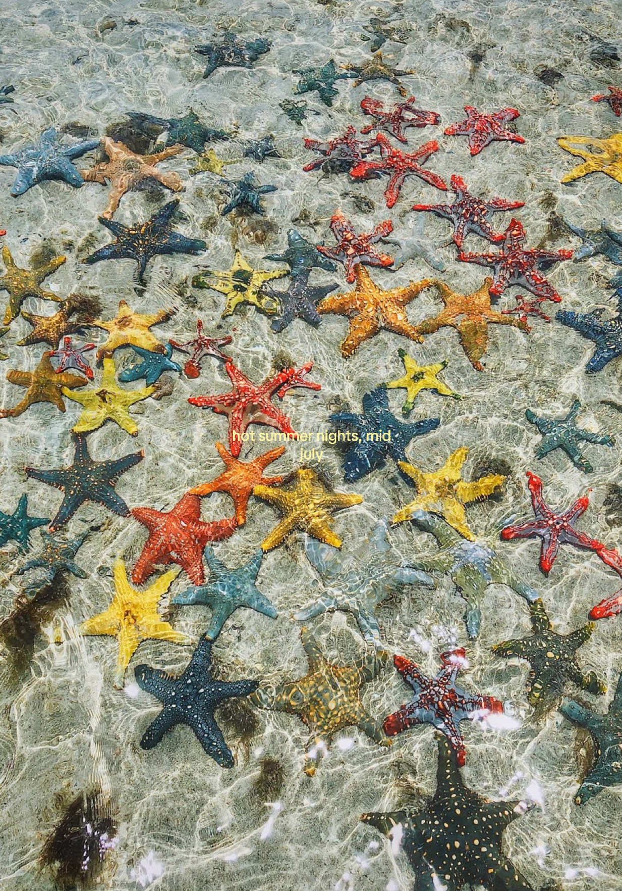 @𝓡⭐️