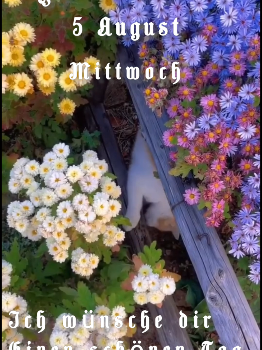 @Ирина goodmorning