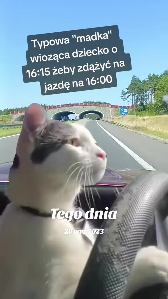 @Stajnia Pod Kasztanem 🇵🇱