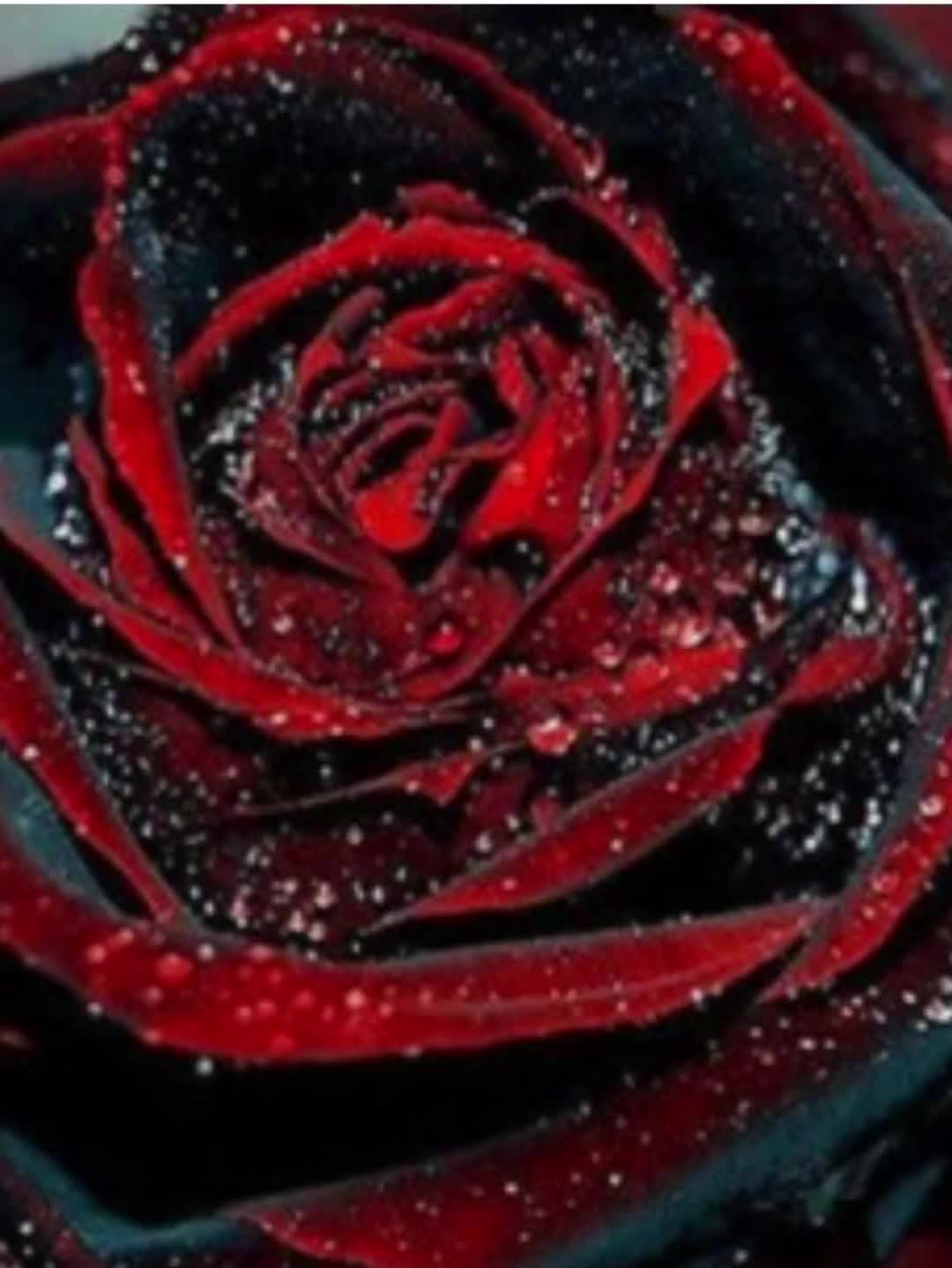 @❤️Heike💘