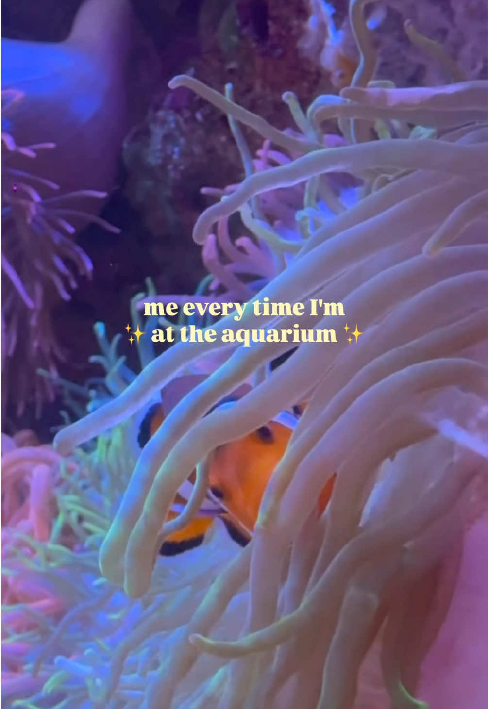 @The Florida Aquarium