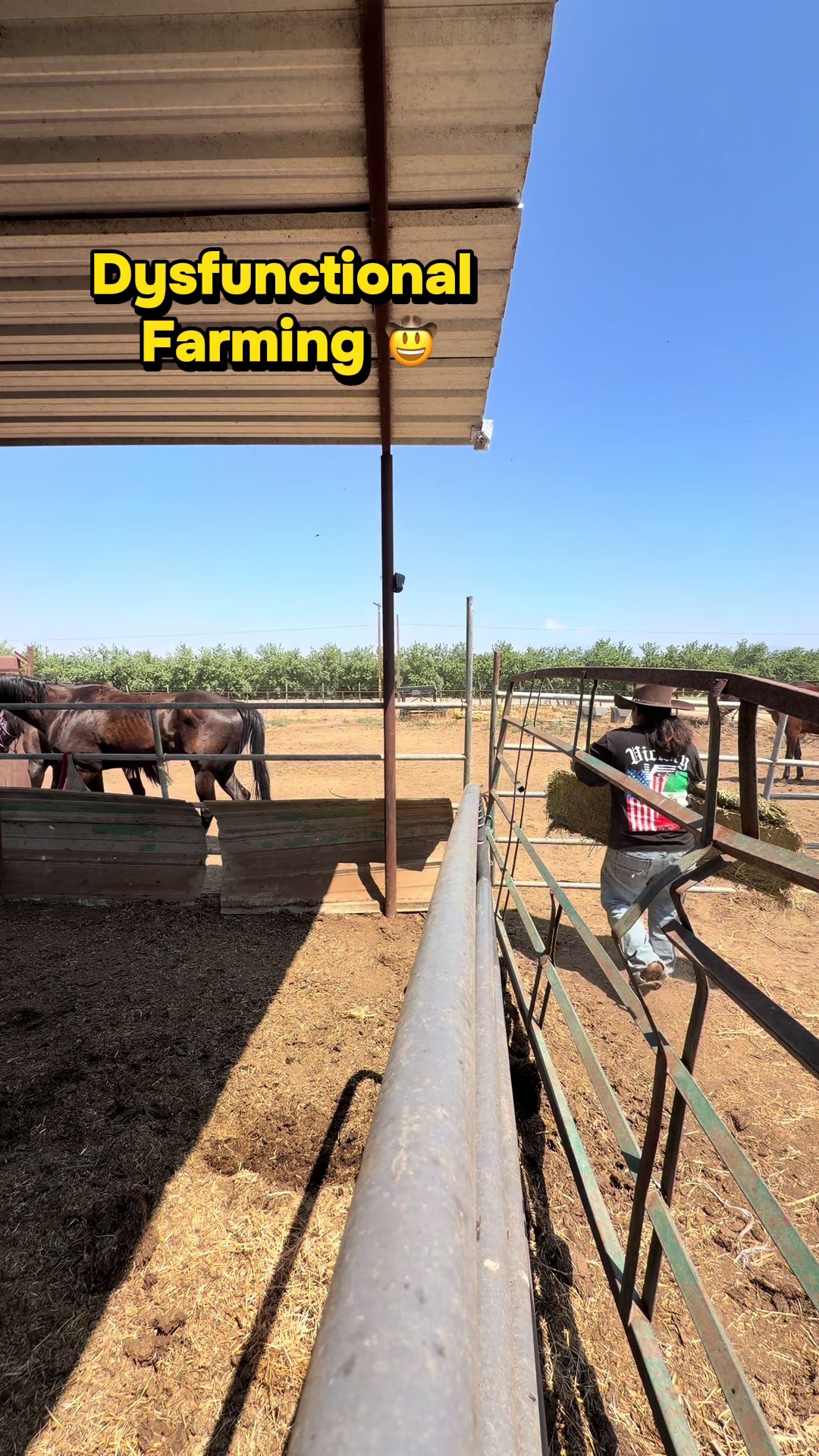 @Skylar Farming