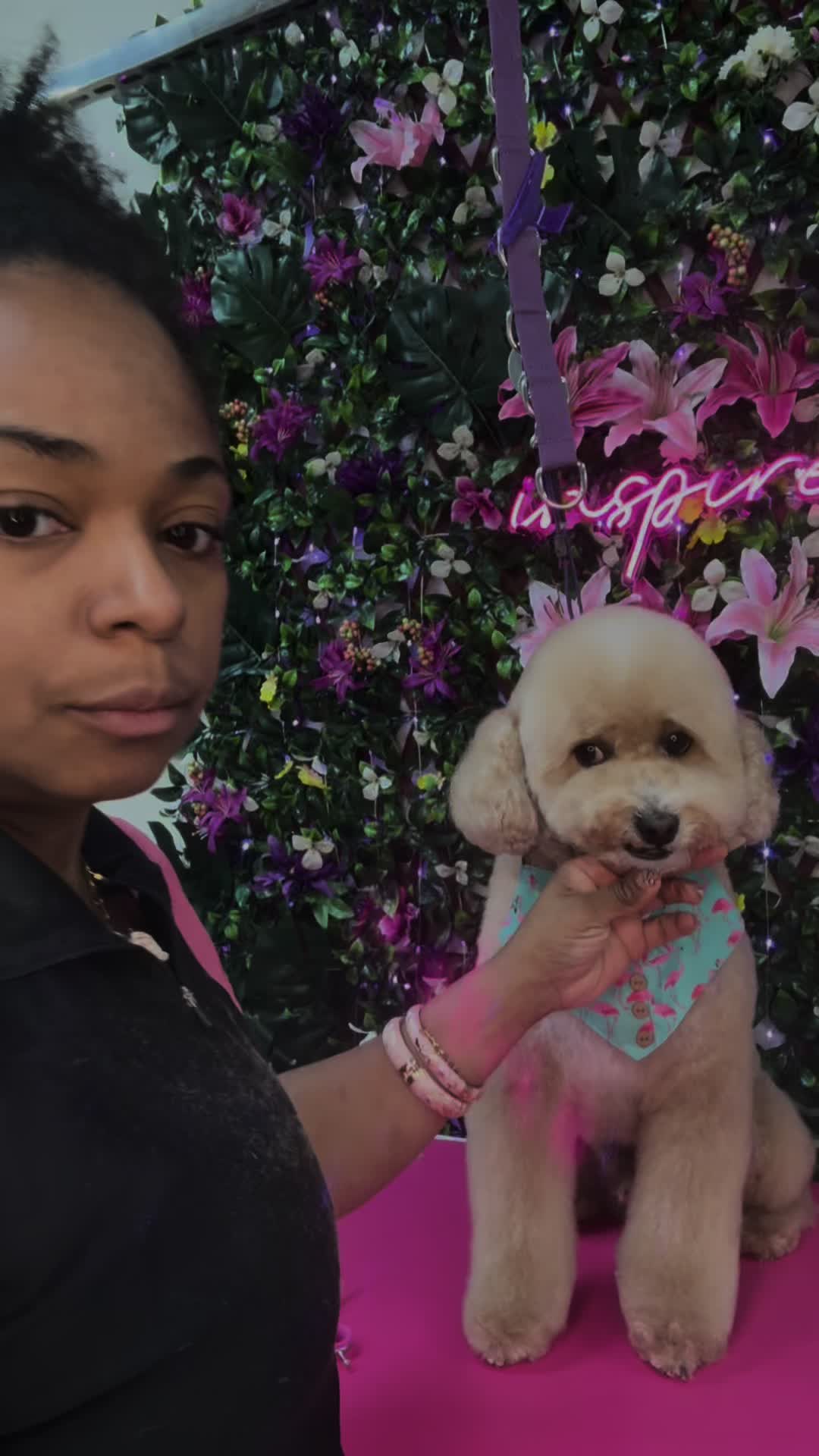 @fusionpetstylez