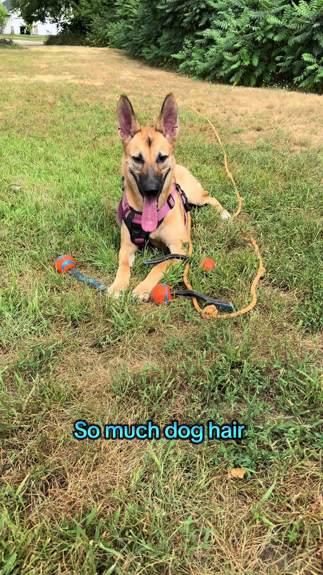 @Kiki.GSD