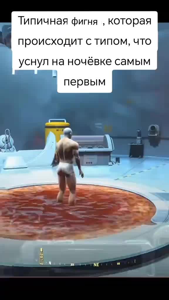 @крыска котик