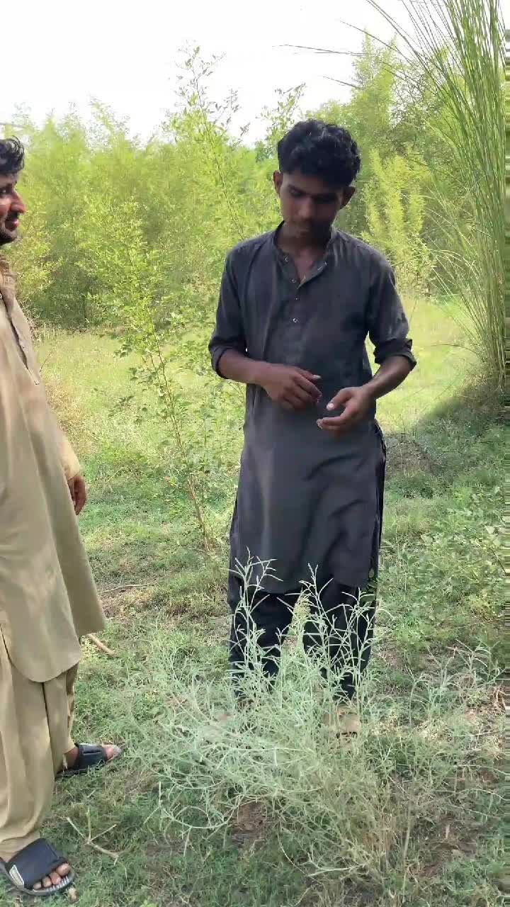@mufti Tariq masood