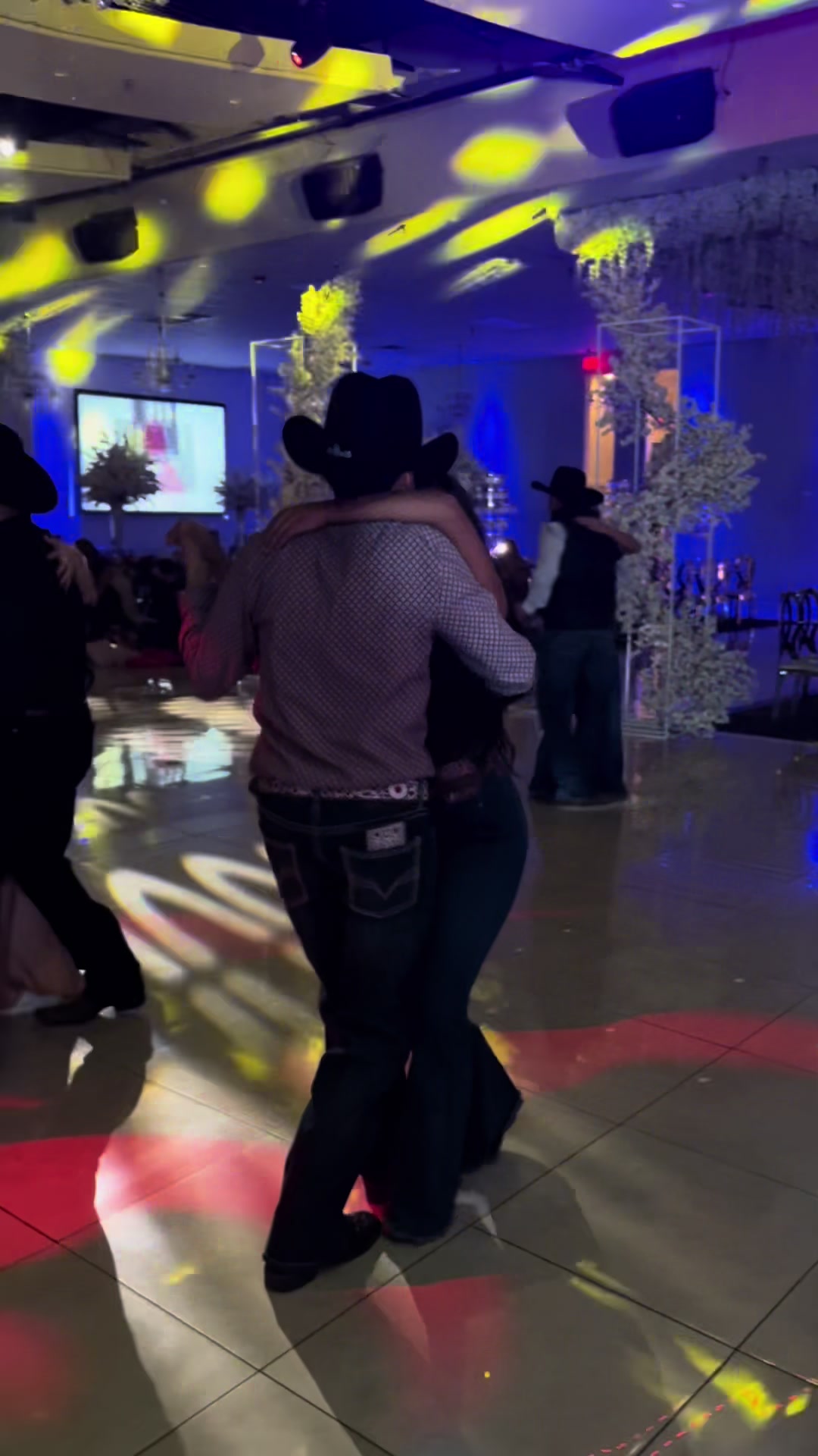 @๐๐๐๐ถ๐๐๐๐พ๐ธ๐ถ แฅซแญก