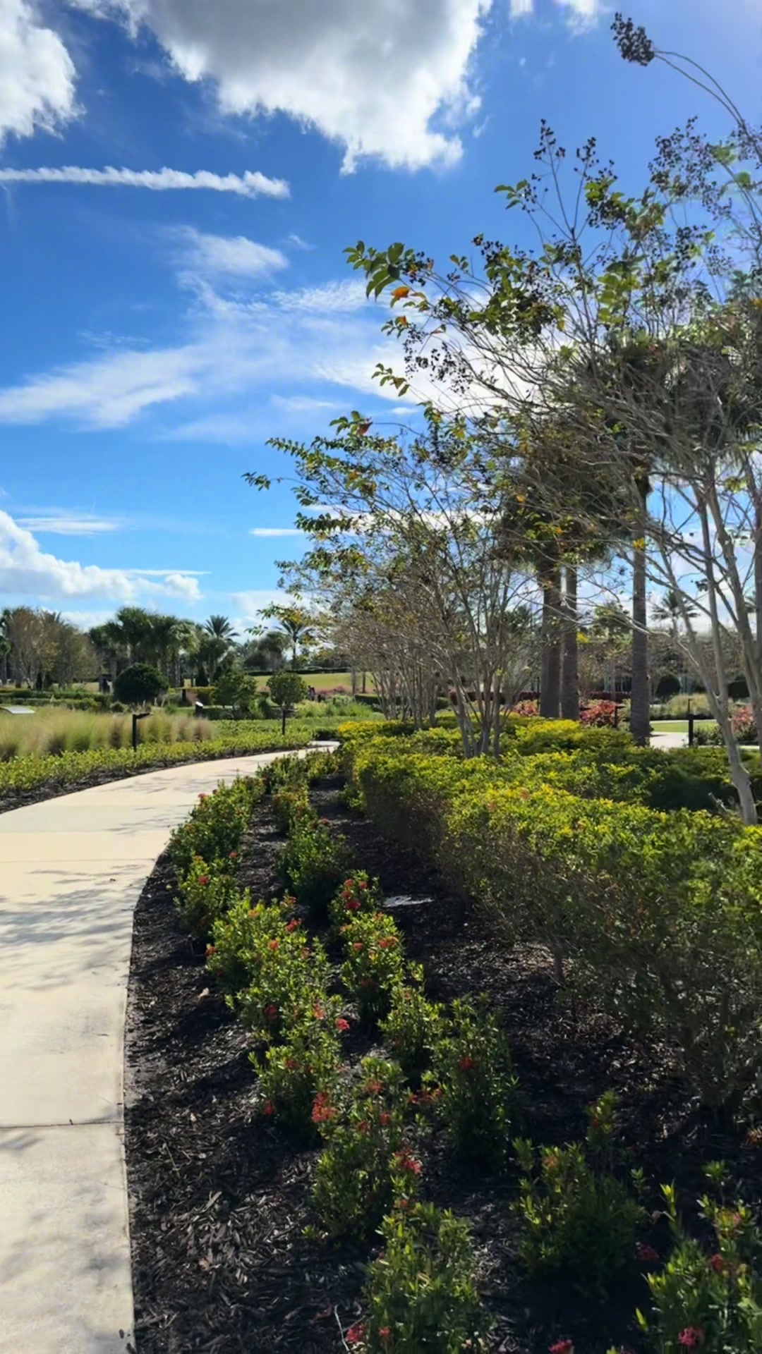 @lauren g