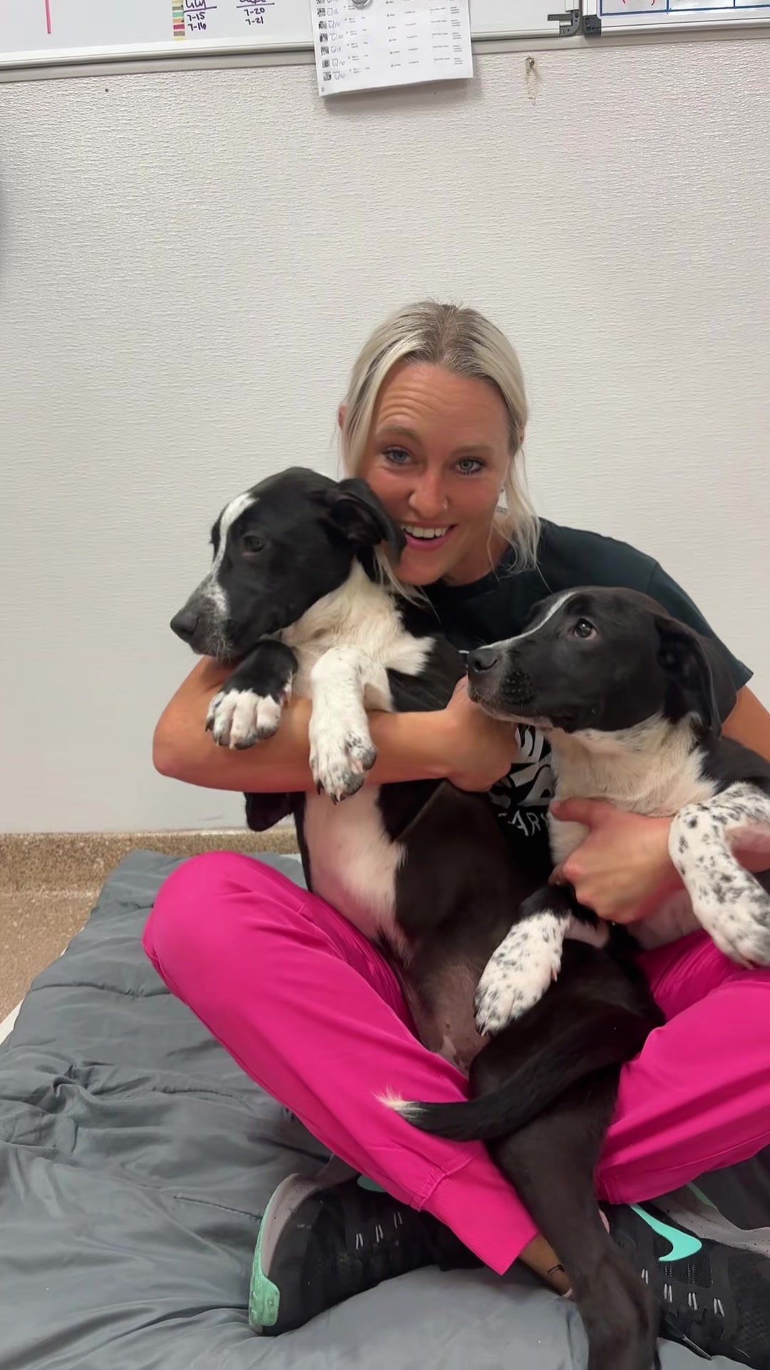 @2vettechs